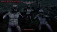 Skyrim Witcher Experience AlphaWolF (Image via Nexus Mods website)